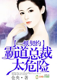 霸道总裁契约妻 小说