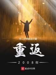 重返2008 小说