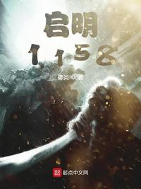 启明1158无弹窗