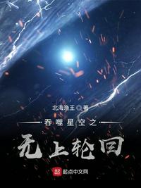 吞噬星空之无上轮回百科