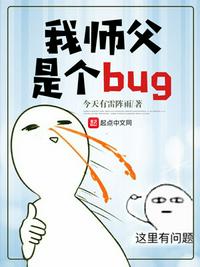 我师父是个bug 小说